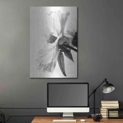 Luxe Metal Art 'Translucent Peony IVBW' by Debra Van Swearingen, Metal Wall Art,24x36