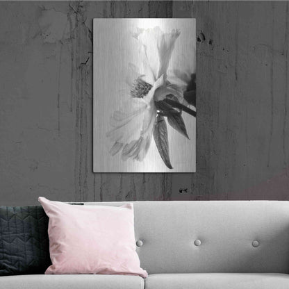Luxe Metal Art 'Translucent Peony IVBW' by Debra Van Swearingen, Metal Wall Art,24x36