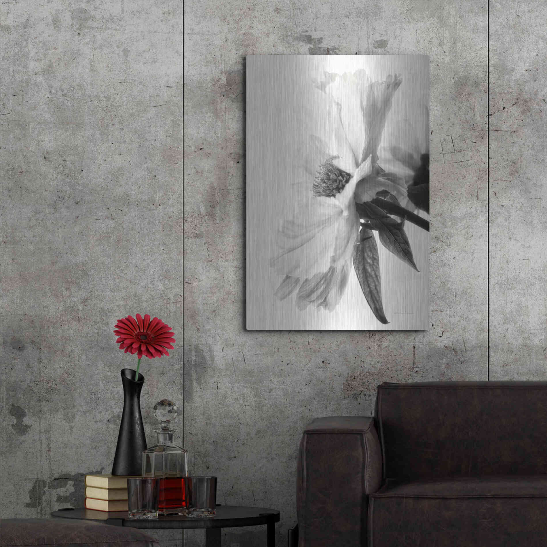 Luxe Metal Art 'Translucent Peony IVBW' by Debra Van Swearingen, Metal Wall Art,24x36