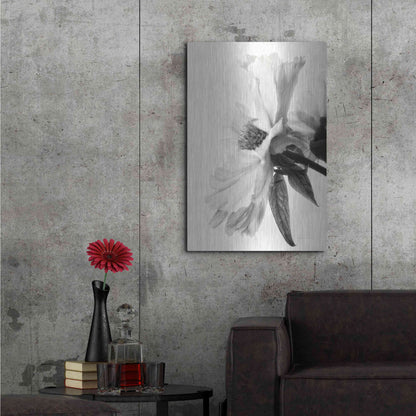 Luxe Metal Art 'Translucent Peony IVBW' by Debra Van Swearingen, Metal Wall Art,24x36