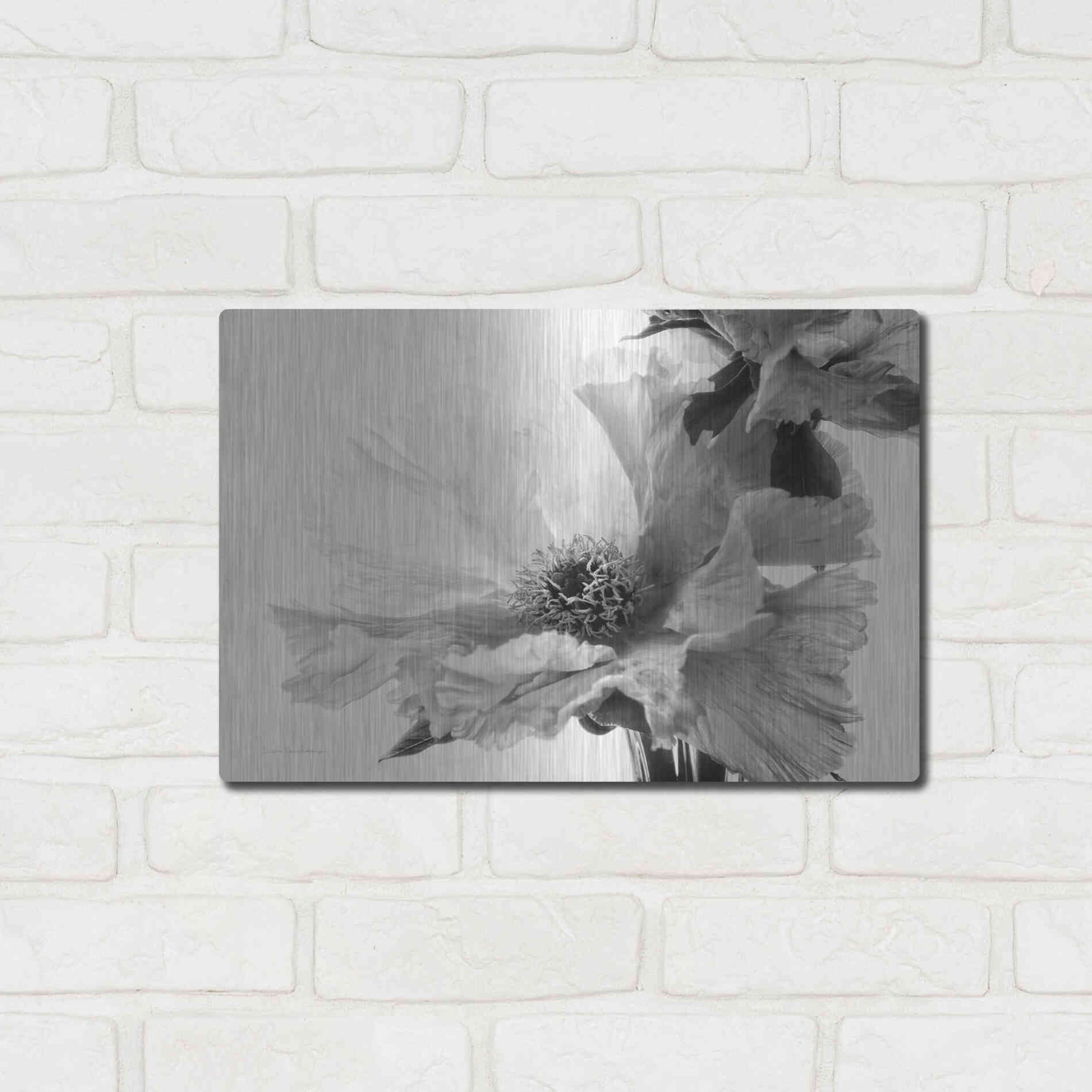 Luxe Metal Art 'Translucent Peony VBW' by Debra Van Swearingen, Metal Wall Art,16x12