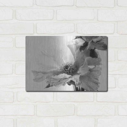 Luxe Metal Art 'Translucent Peony VBW' by Debra Van Swearingen, Metal Wall Art,16x12