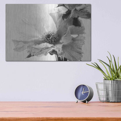 Luxe Metal Art 'Translucent Peony VBW' by Debra Van Swearingen, Metal Wall Art,16x12