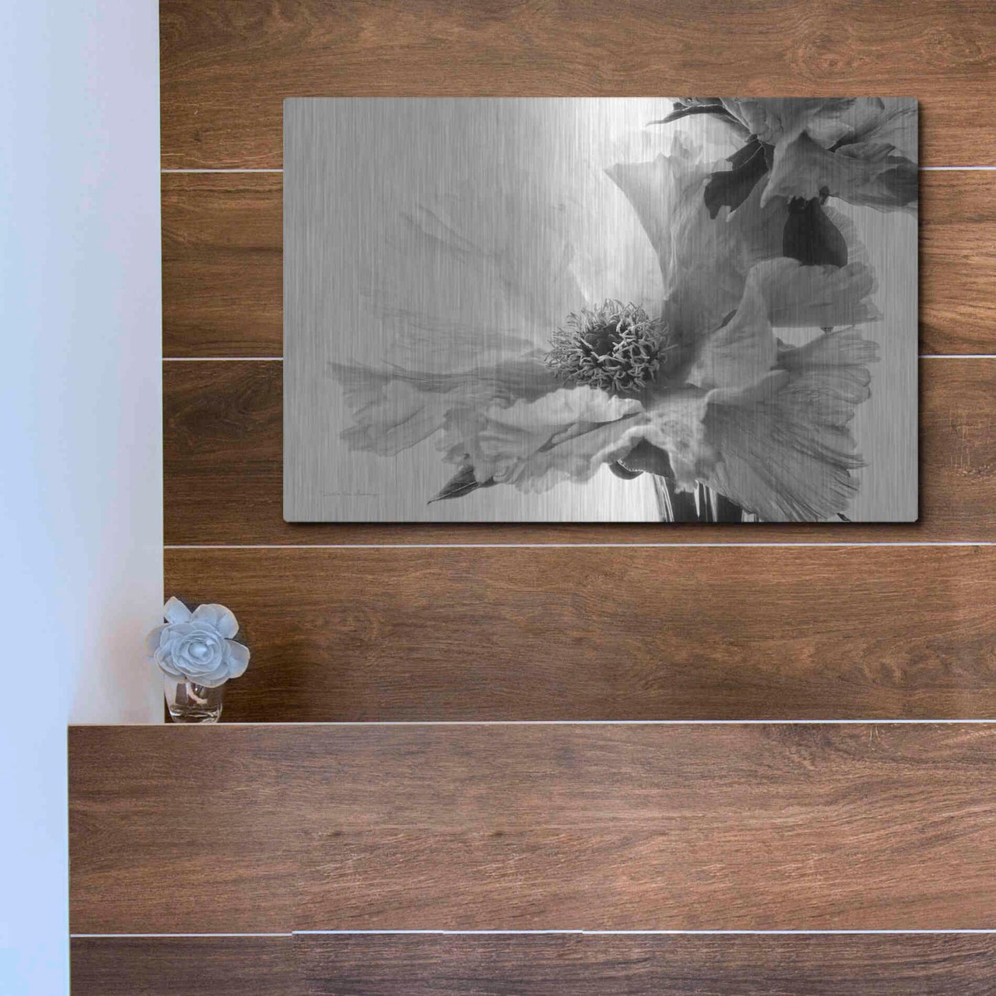 Luxe Metal Art 'Translucent Peony VBW' by Debra Van Swearingen, Metal Wall Art,16x12