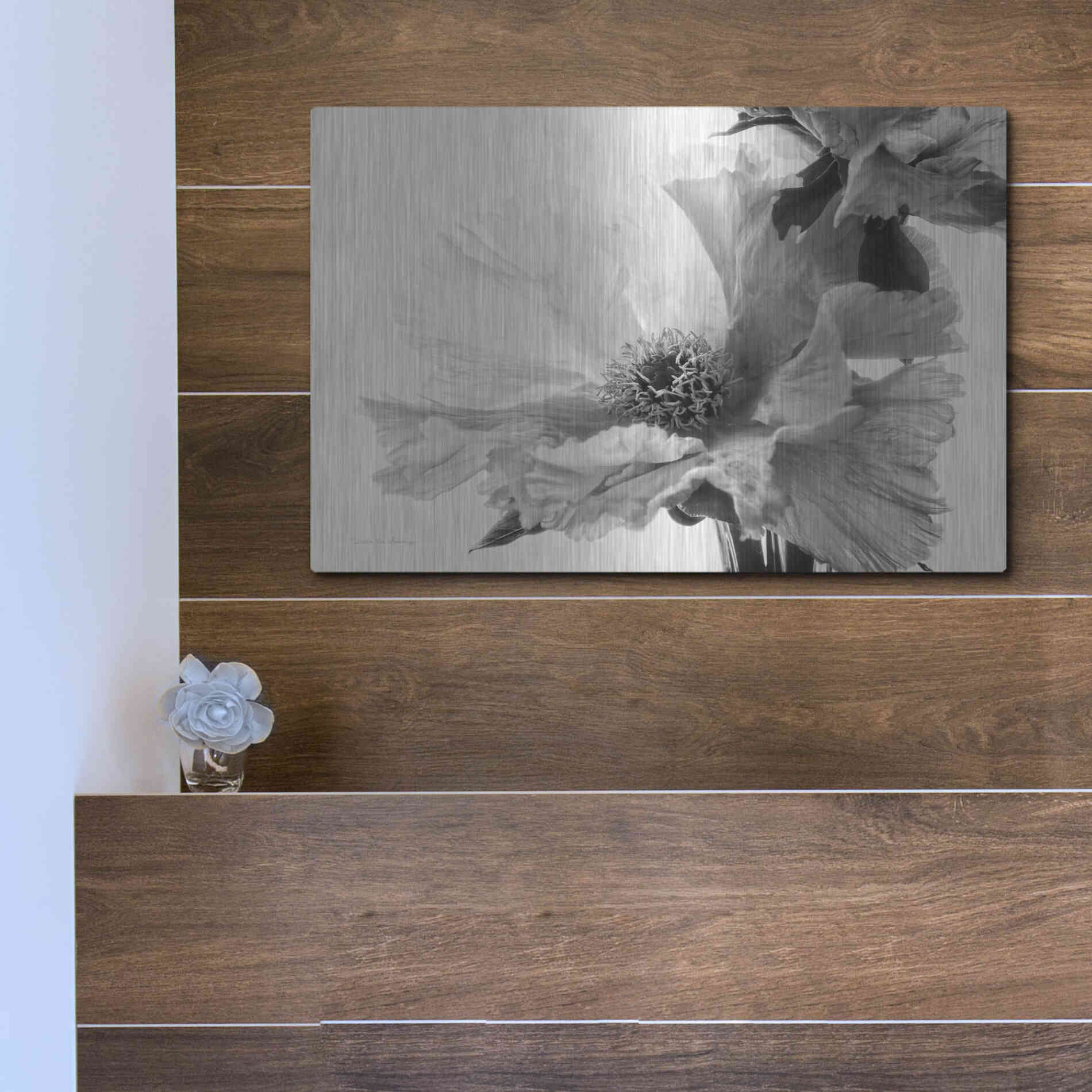 Luxe Metal Art 'Translucent Peony VBW' by Debra Van Swearingen, Metal Wall Art,16x12