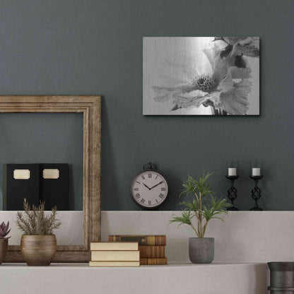 Luxe Metal Art 'Translucent Peony VBW' by Debra Van Swearingen, Metal Wall Art,16x12
