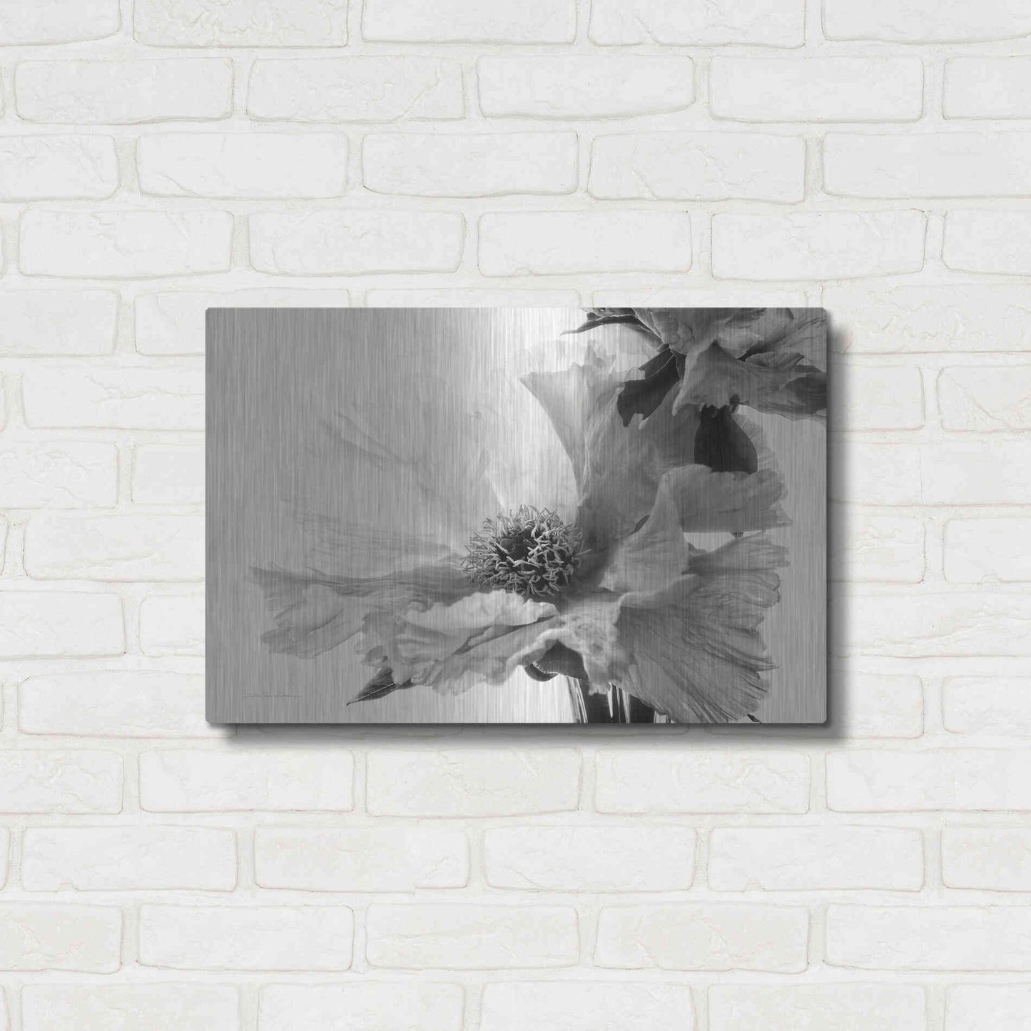 Luxe Metal Art 'Translucent Peony VBW' by Debra Van Swearingen, Metal Wall Art,24x16