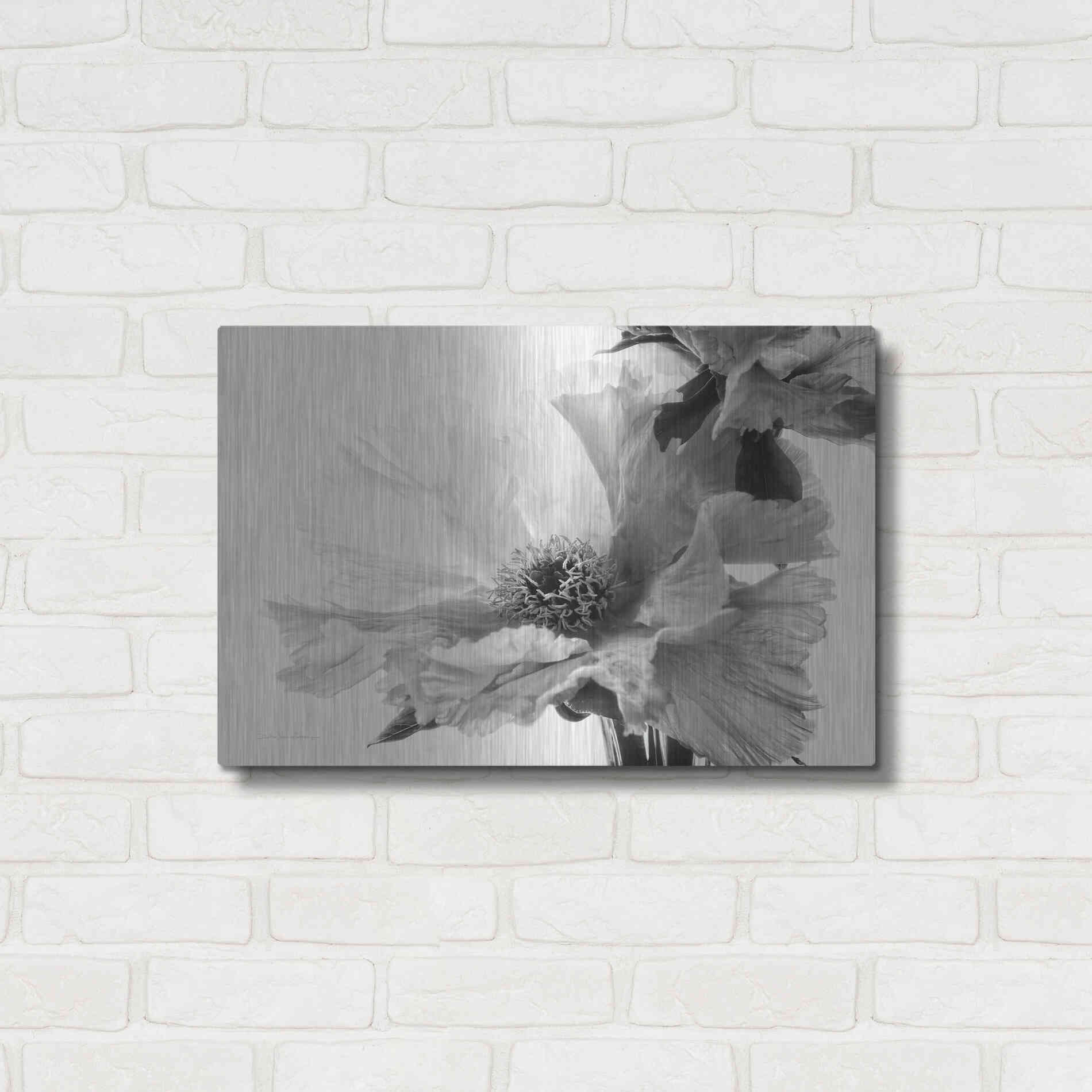 Luxe Metal Art 'Translucent Peony VBW' by Debra Van Swearingen, Metal Wall Art,24x16