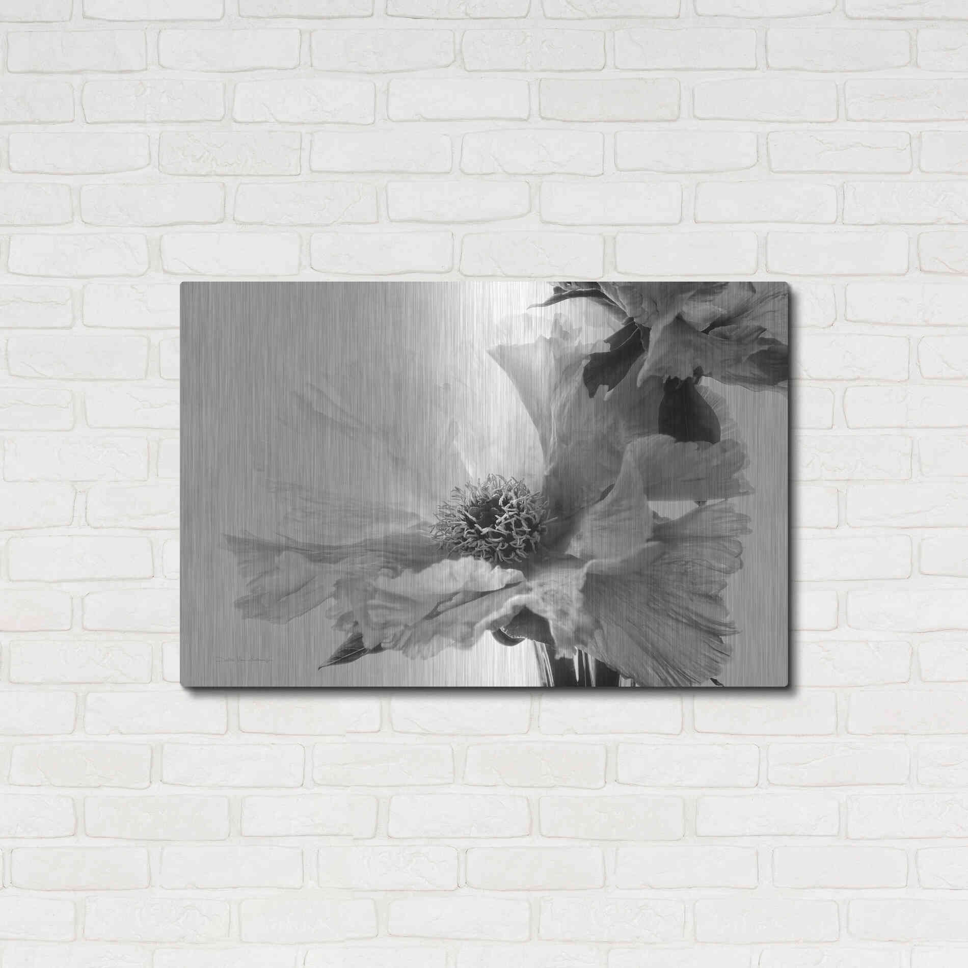 Luxe Metal Art 'Translucent Peony VBW' by Debra Van Swearingen, Metal Wall Art,36x24