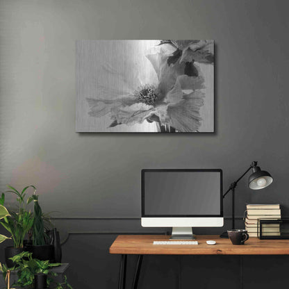 Luxe Metal Art 'Translucent Peony VBW' by Debra Van Swearingen, Metal Wall Art,36x24