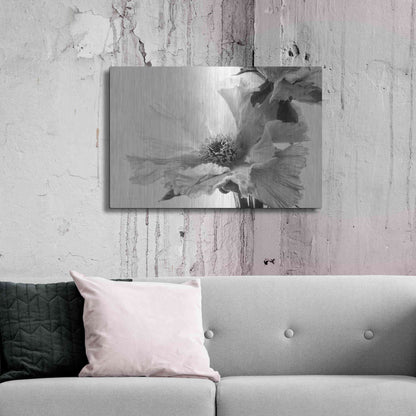 Luxe Metal Art 'Translucent Peony VBW' by Debra Van Swearingen, Metal Wall Art,36x24