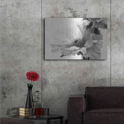 Luxe Metal Art 'Translucent Peony VBW' by Debra Van Swearingen, Metal Wall Art,36x24