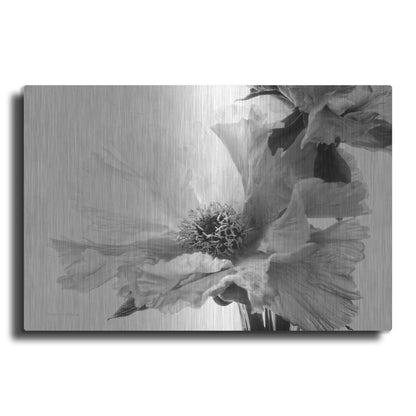 Luxe Metal Art 'Translucent Peony VBW' by Debra Van Swearingen, Metal Wall Art