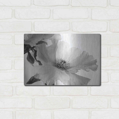 Luxe Metal Art 'Translucent Peony VIBW' by Debra Van Swearingen, Metal Wall Art,16x12