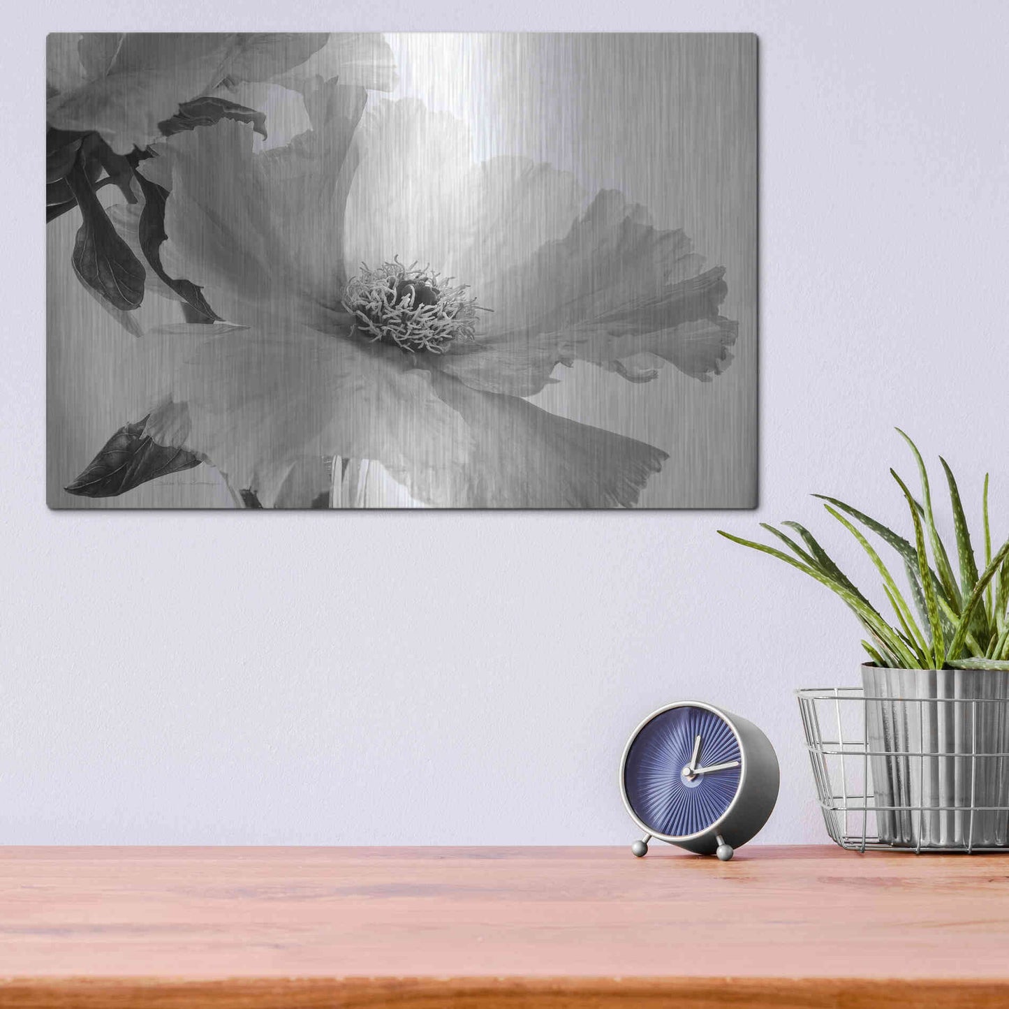Luxe Metal Art 'Translucent Peony VIBW' by Debra Van Swearingen, Metal Wall Art,16x12