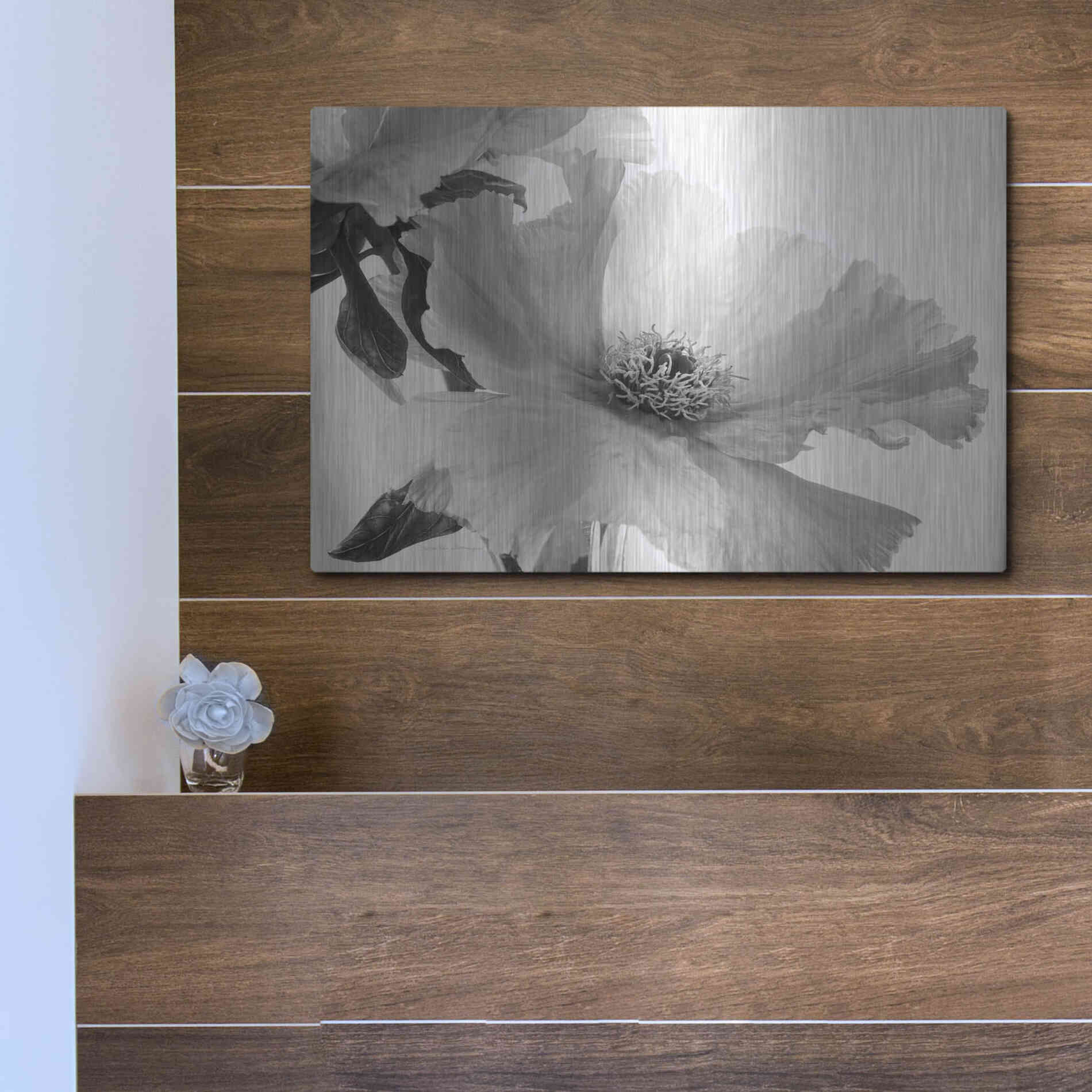 Luxe Metal Art 'Translucent Peony VIBW' by Debra Van Swearingen, Metal Wall Art,16x12