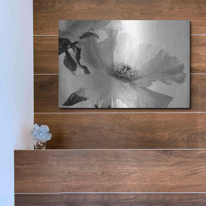 Luxe Metal Art 'Translucent Peony VIBW' by Debra Van Swearingen, Metal Wall Art,16x12
