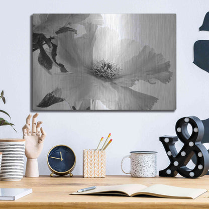 Luxe Metal Art 'Translucent Peony VIBW' by Debra Van Swearingen, Metal Wall Art,16x12