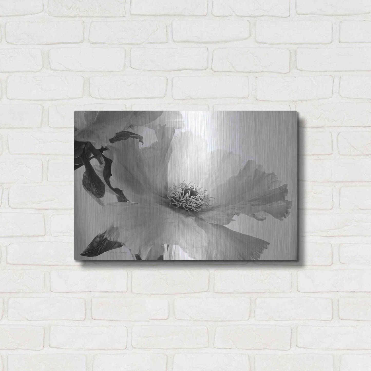 Luxe Metal Art 'Translucent Peony VIBW' by Debra Van Swearingen, Metal Wall Art,24x16