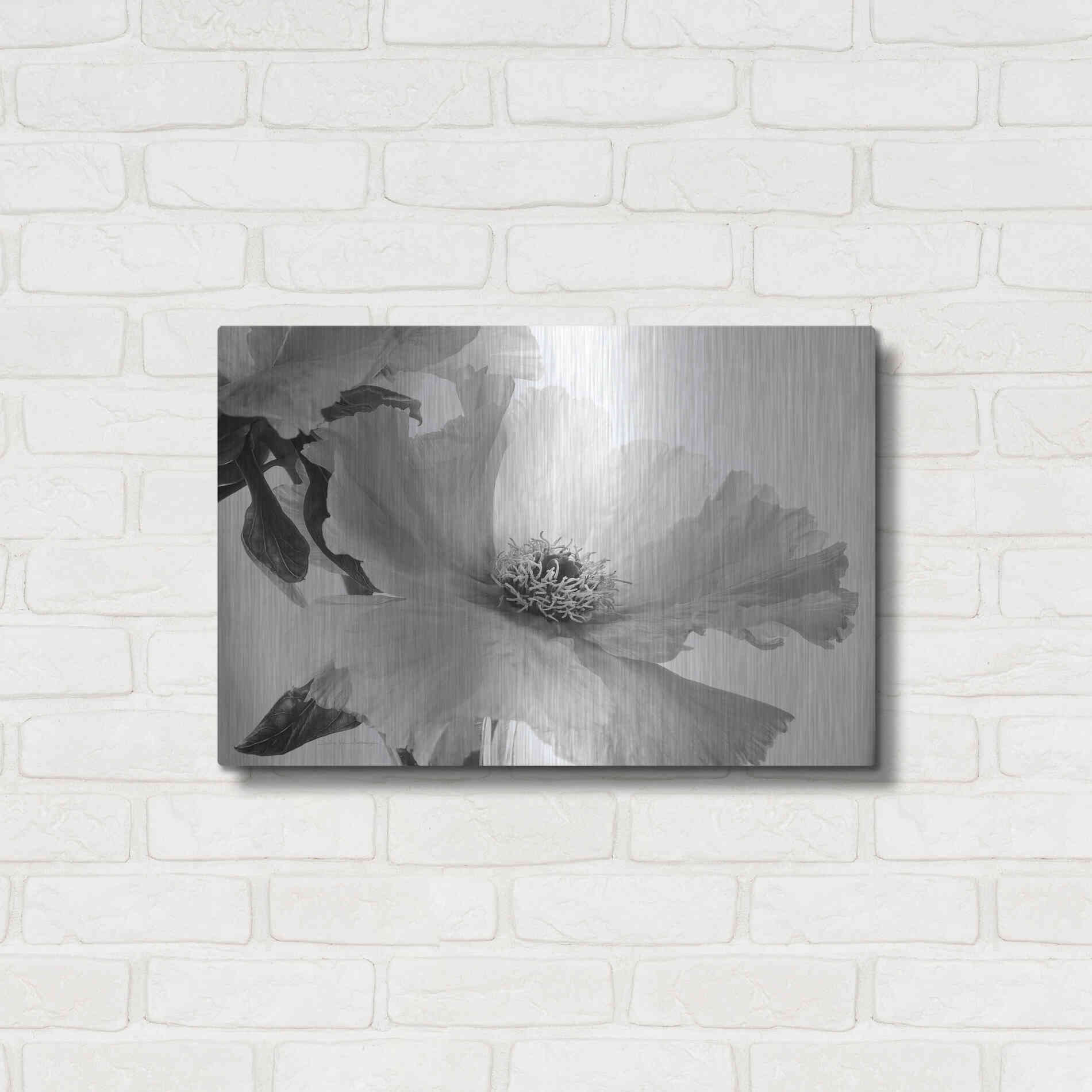Luxe Metal Art 'Translucent Peony VIBW' by Debra Van Swearingen, Metal Wall Art,24x16