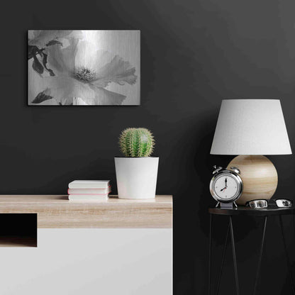 Luxe Metal Art 'Translucent Peony VIBW' by Debra Van Swearingen, Metal Wall Art,24x16