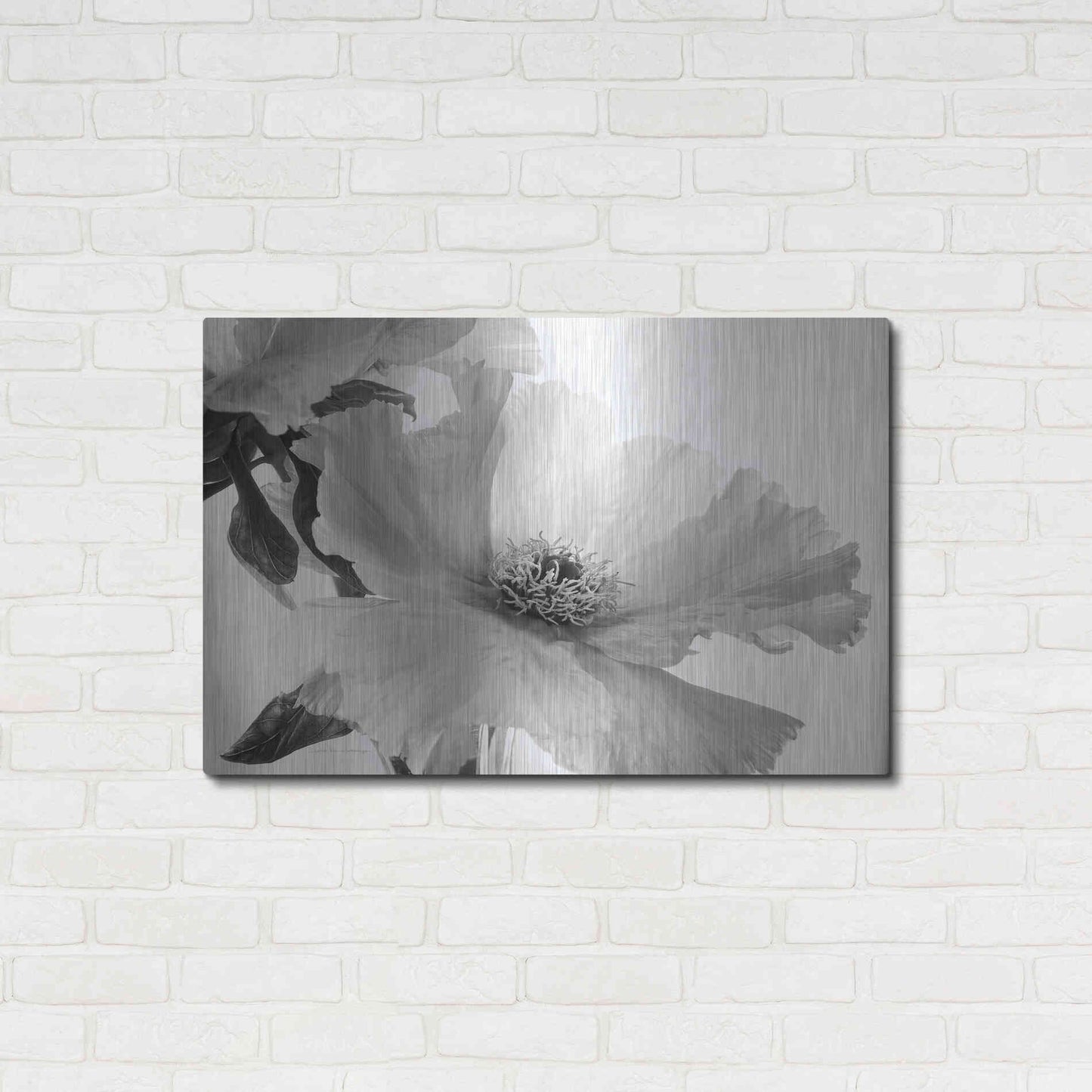 Luxe Metal Art 'Translucent Peony VIBW' by Debra Van Swearingen, Metal Wall Art,36x24