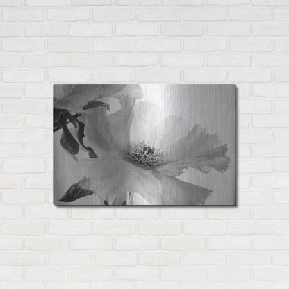 Luxe Metal Art 'Translucent Peony VIBW' by Debra Van Swearingen, Metal Wall Art,36x24