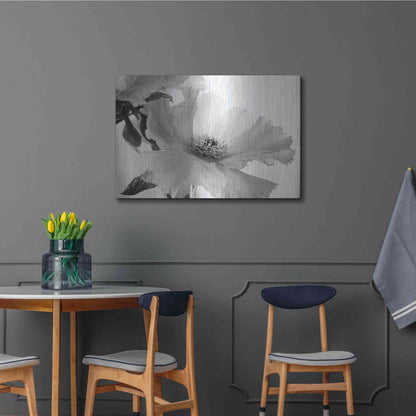 Luxe Metal Art 'Translucent Peony VIBW' by Debra Van Swearingen, Metal Wall Art,36x24