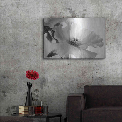 Luxe Metal Art 'Translucent Peony VIBW' by Debra Van Swearingen, Metal Wall Art,36x24