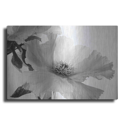 Luxe Metal Art 'Translucent Peony VIBW' by Debra Van Swearingen, Metal Wall Art