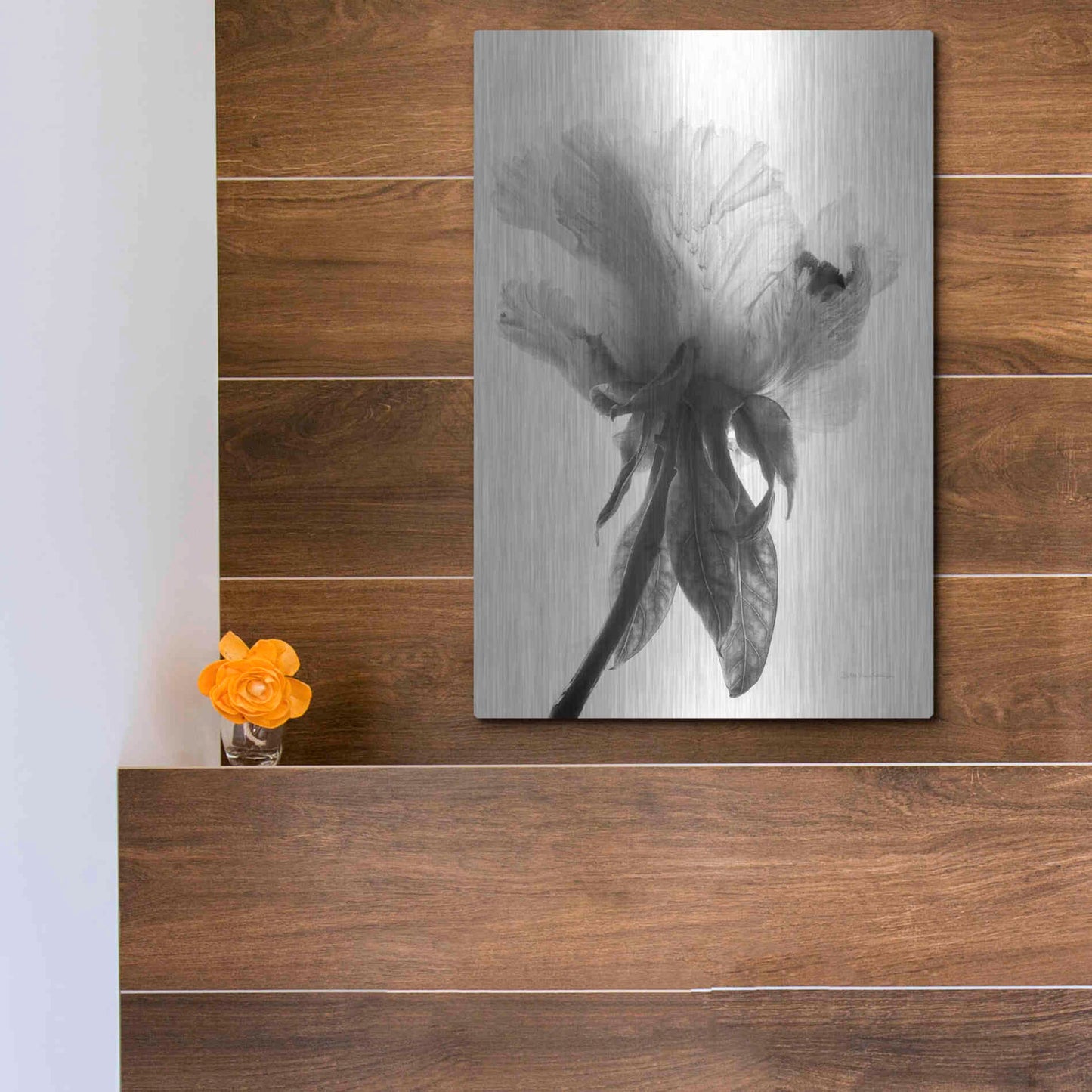 Luxe Metal Art 'Translucent Peony VIIBW' by Debra Van Swearingen, Metal Wall Art,12x16