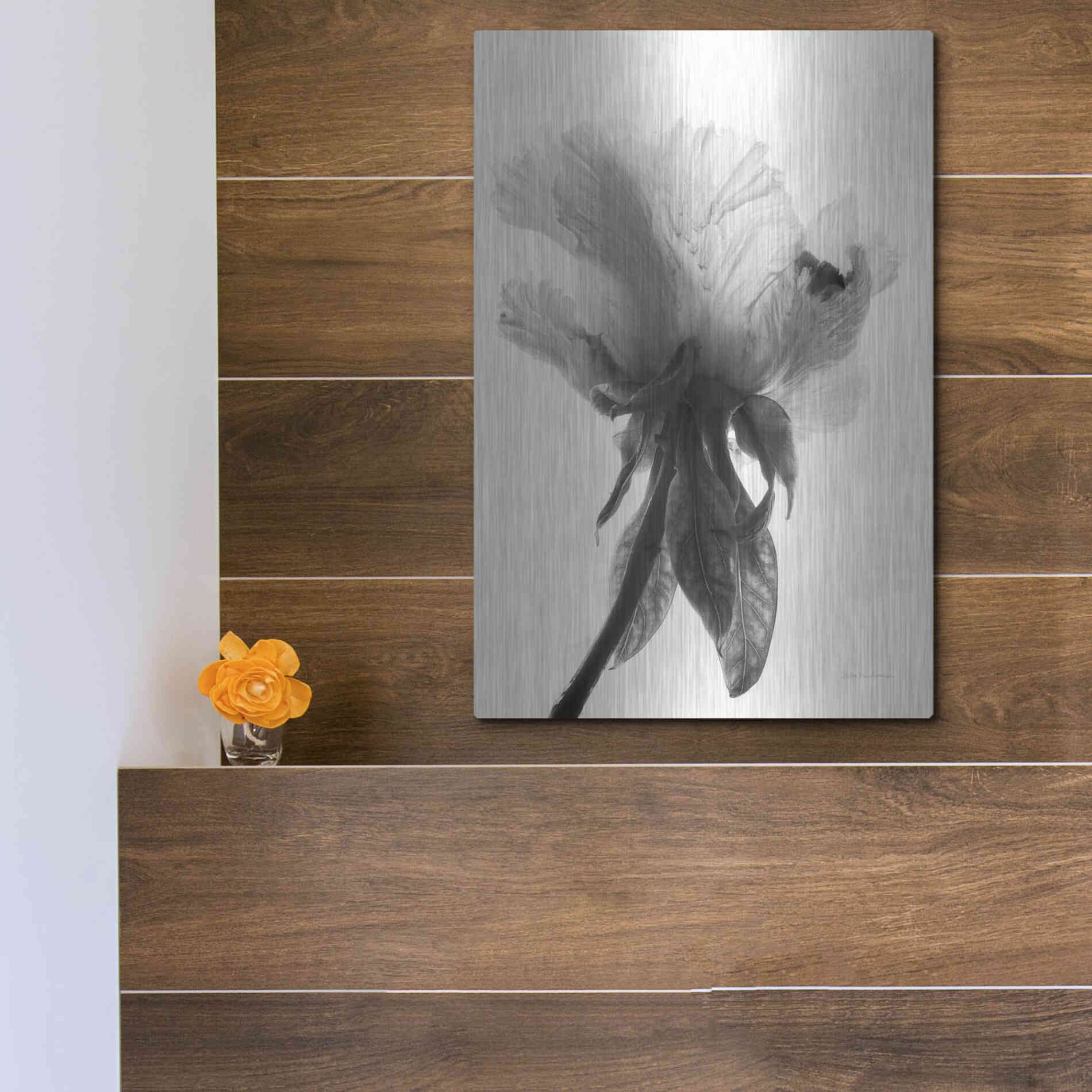 Luxe Metal Art 'Translucent Peony VIIBW' by Debra Van Swearingen, Metal Wall Art,12x16