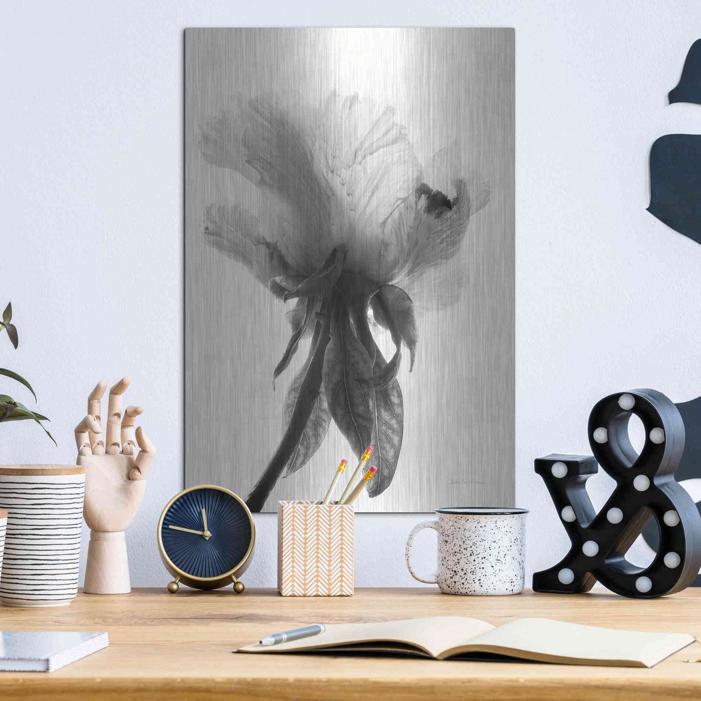 Luxe Metal Art 'Translucent Peony VIIBW' by Debra Van Swearingen, Metal Wall Art,12x16