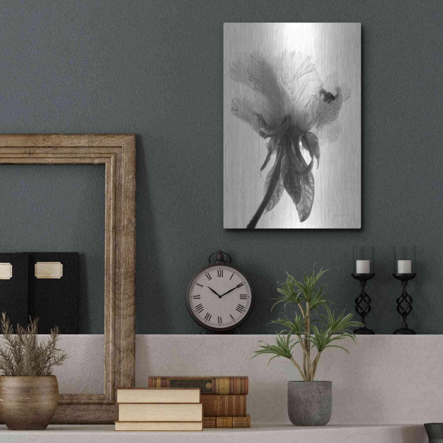 Luxe Metal Art 'Translucent Peony VIIBW' by Debra Van Swearingen, Metal Wall Art,12x16