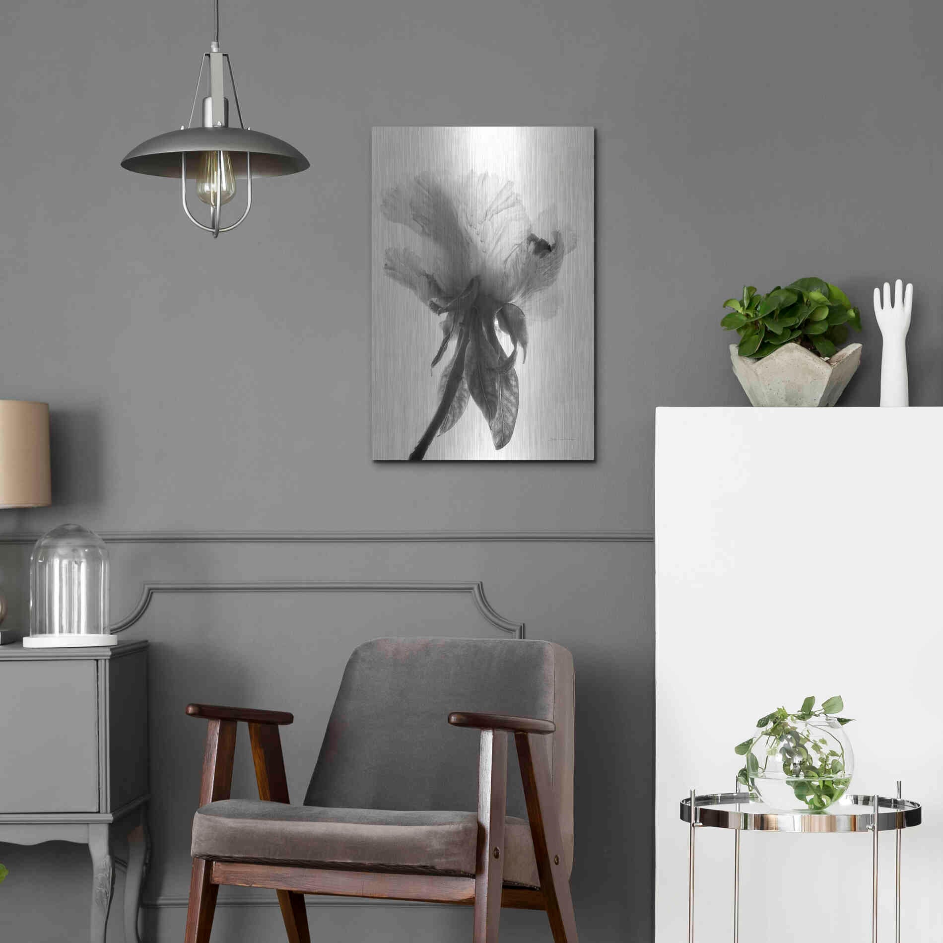 Luxe Metal Art 'Translucent Peony VIIBW' by Debra Van Swearingen, Metal Wall Art,16x24