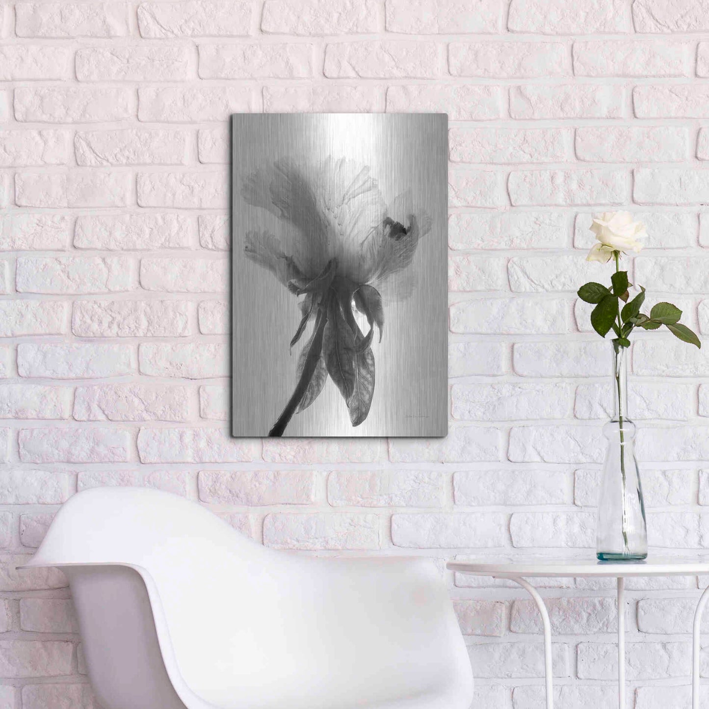Luxe Metal Art 'Translucent Peony VIIBW' by Debra Van Swearingen, Metal Wall Art,16x24