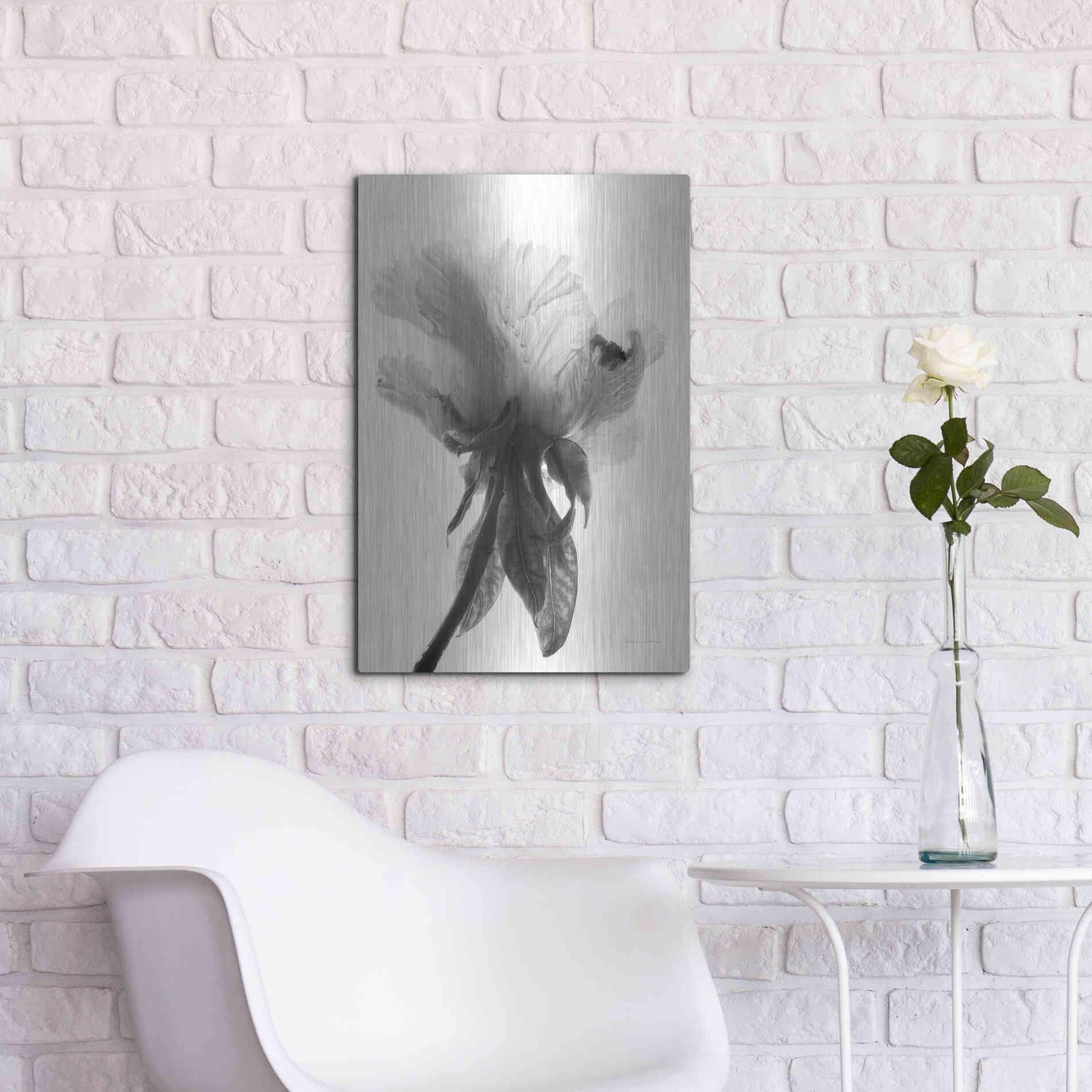 Luxe Metal Art 'Translucent Peony VIIBW' by Debra Van Swearingen, Metal Wall Art,16x24
