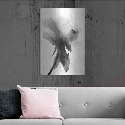 Luxe Metal Art 'Translucent Peony VIIBW' by Debra Van Swearingen, Metal Wall Art,24x36