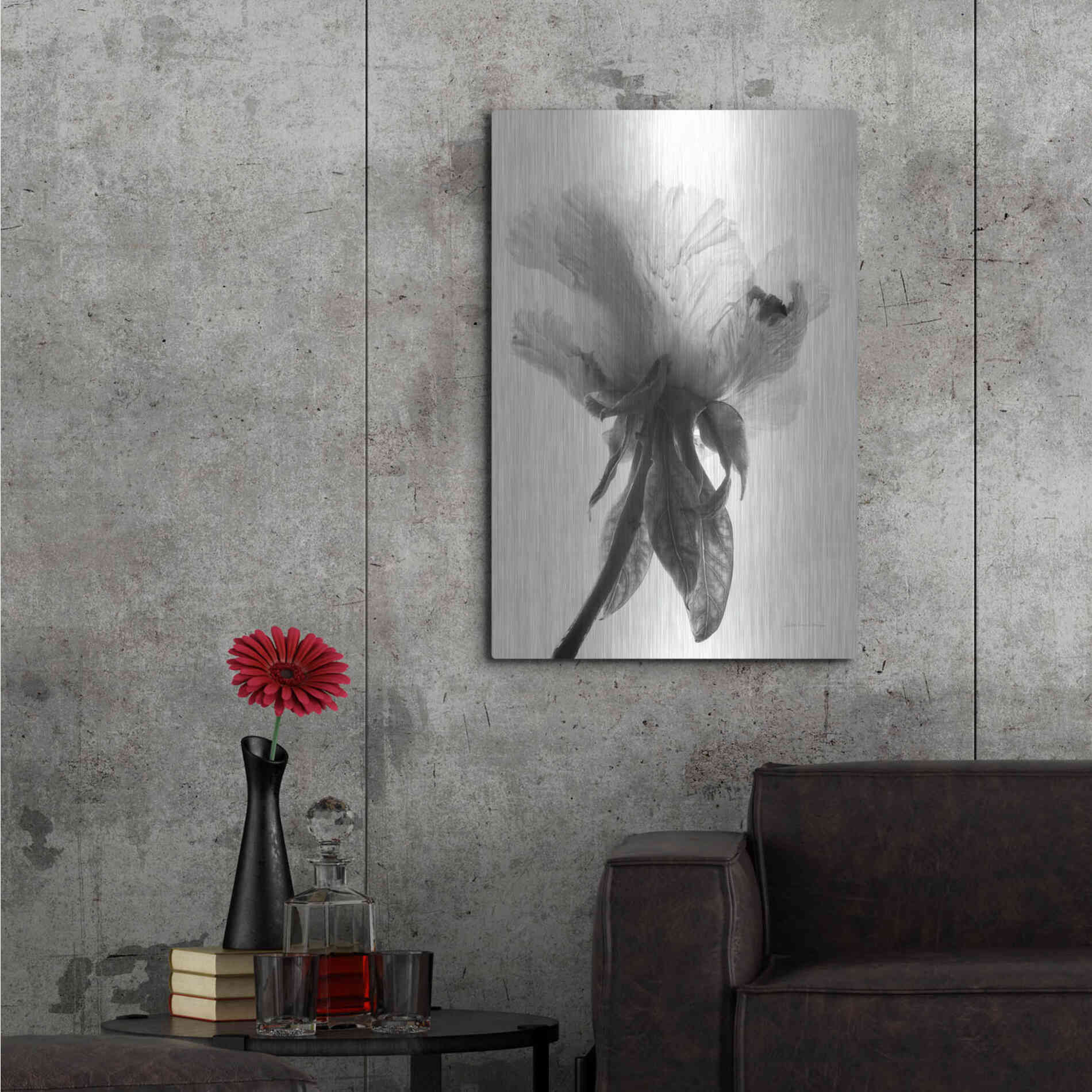 Luxe Metal Art 'Translucent Peony VIIBW' by Debra Van Swearingen, Metal Wall Art,24x36