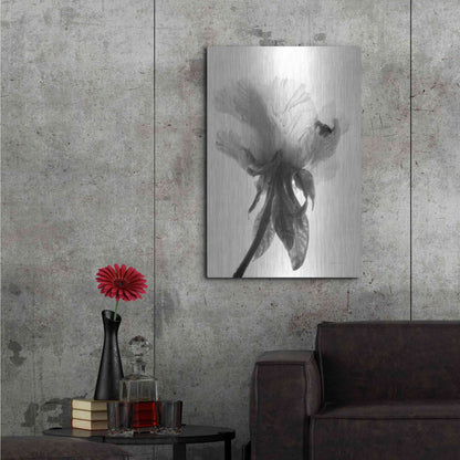 Luxe Metal Art 'Translucent Peony VIIBW' by Debra Van Swearingen, Metal Wall Art,24x36