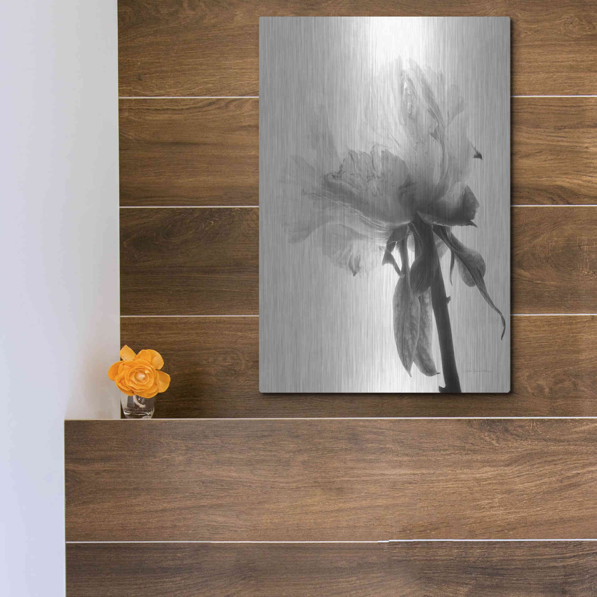Luxe Metal Art 'Translucent Peony VIIIBW' by Debra Van Swearingen, Metal Wall Art,12x16