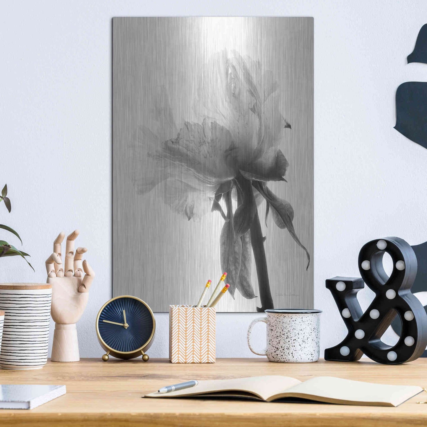 Luxe Metal Art 'Translucent Peony VIIIBW' by Debra Van Swearingen, Metal Wall Art,12x16