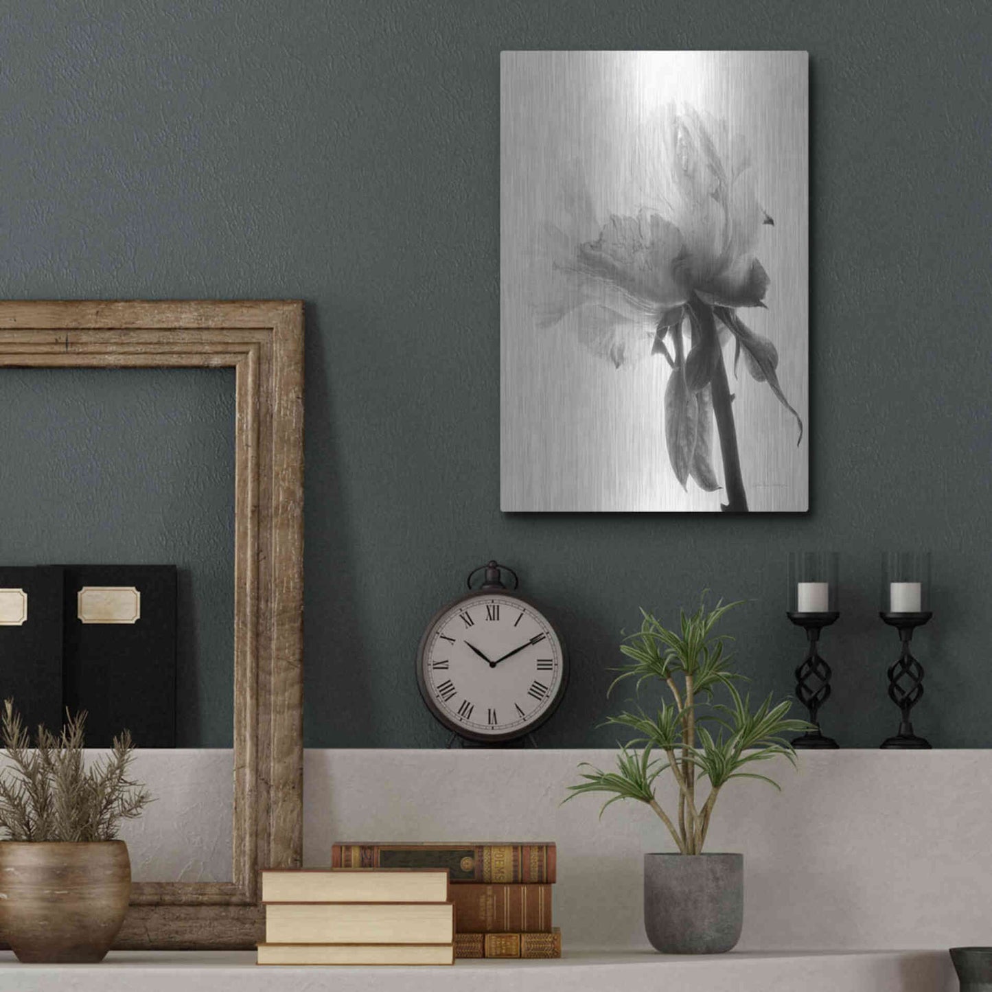 Luxe Metal Art 'Translucent Peony VIIIBW' by Debra Van Swearingen, Metal Wall Art,12x16