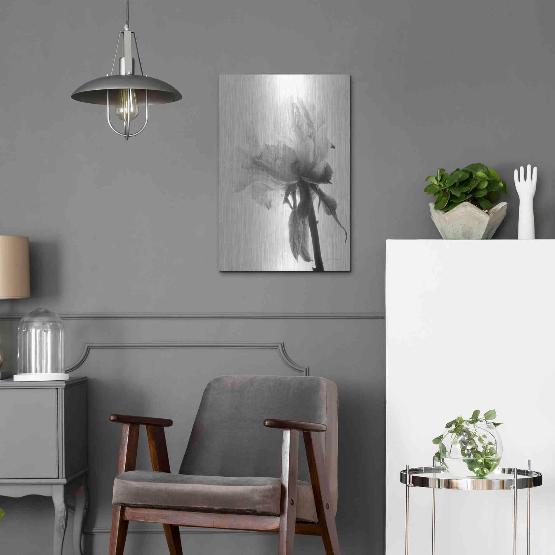 Luxe Metal Art 'Translucent Peony VIIIBW' by Debra Van Swearingen, Metal Wall Art,16x24