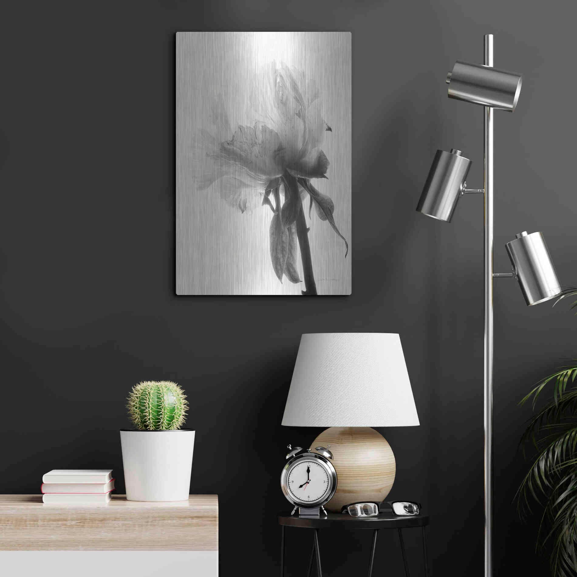 Luxe Metal Art 'Translucent Peony VIIIBW' by Debra Van Swearingen, Metal Wall Art,16x24