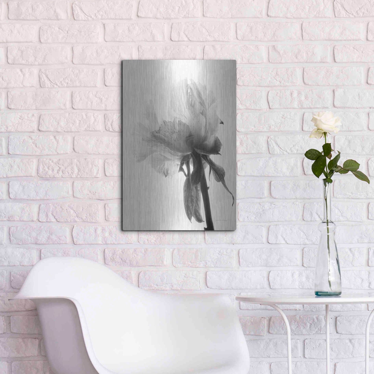 Luxe Metal Art 'Translucent Peony VIIIBW' by Debra Van Swearingen, Metal Wall Art,16x24