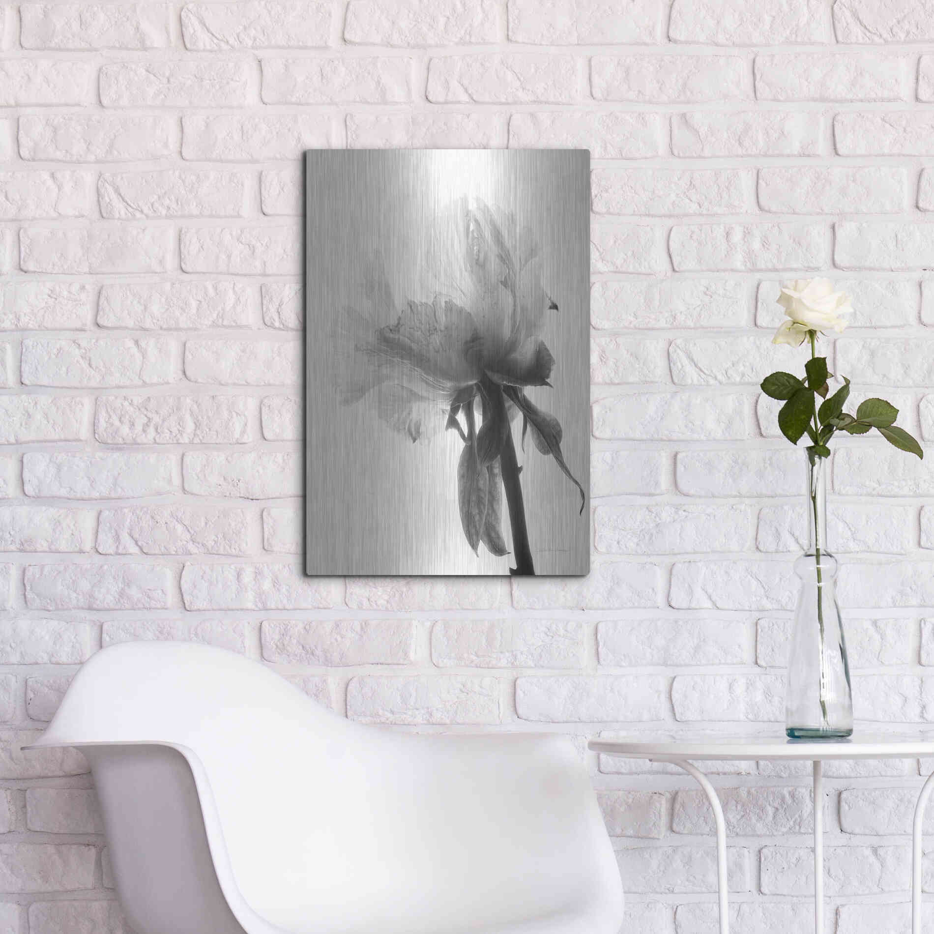 Luxe Metal Art 'Translucent Peony VIIIBW' by Debra Van Swearingen, Metal Wall Art,16x24