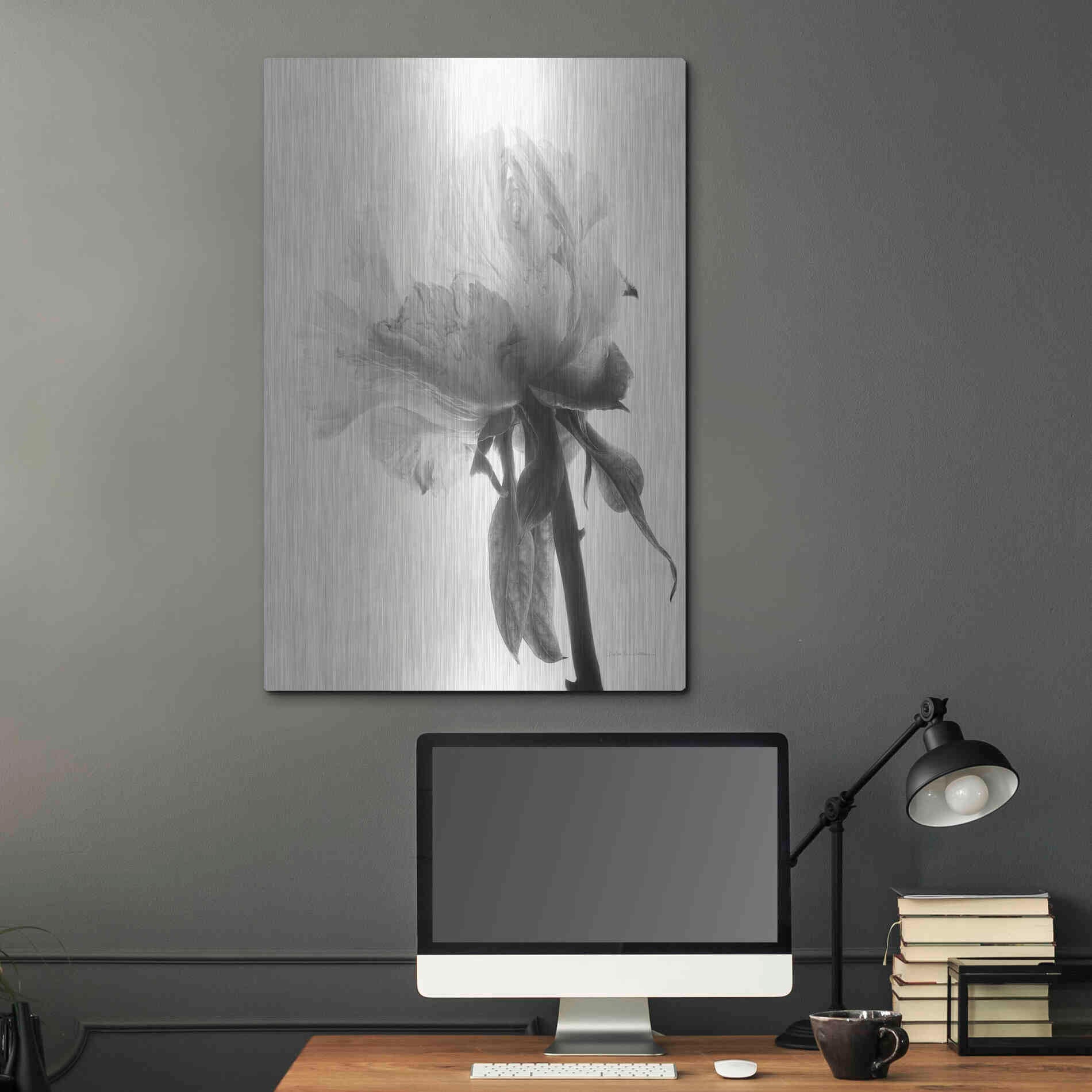 Luxe Metal Art 'Translucent Peony VIIIBW' by Debra Van Swearingen, Metal Wall Art,24x36