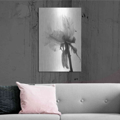 Luxe Metal Art 'Translucent Peony VIIIBW' by Debra Van Swearingen, Metal Wall Art,24x36
