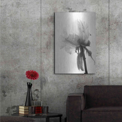 Luxe Metal Art 'Translucent Peony VIIIBW' by Debra Van Swearingen, Metal Wall Art,24x36